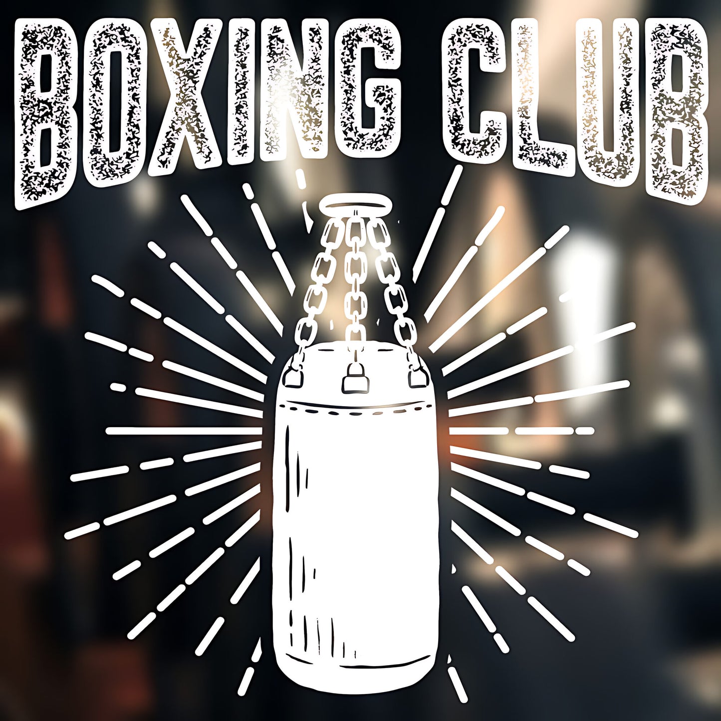 Boxing Gloves on Display Wall Sticker Gym Fitness Art Decal